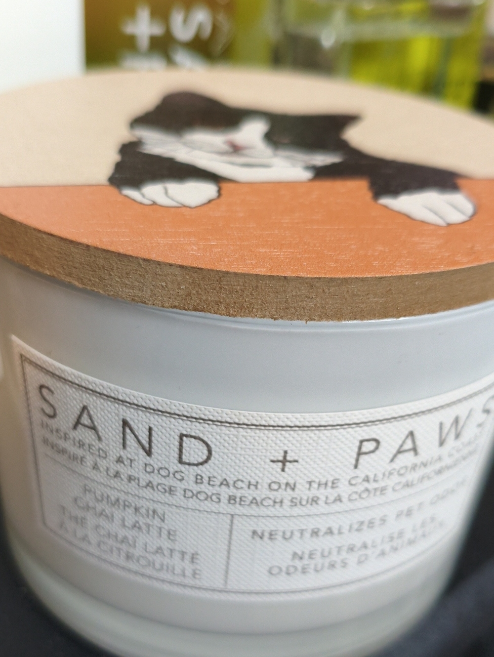 Sand + Paws Pumpkin Chai Latte candle